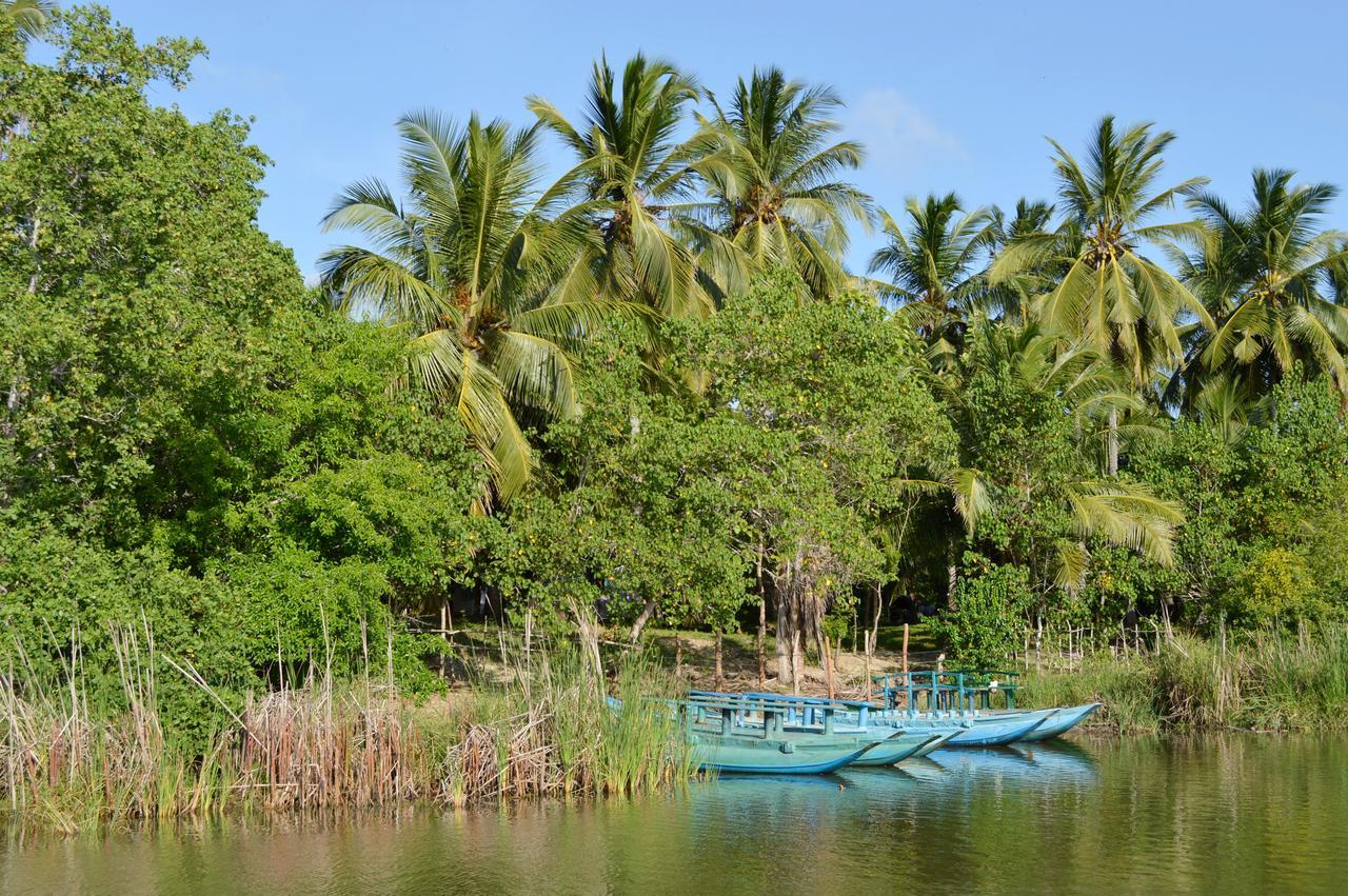Ocean Cottage Kalametiya Buitenkant foto